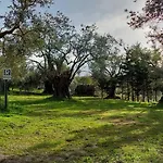 Bed & Breakfast La Piana Degli Ulivi 3*