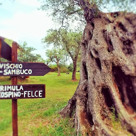 La Piana Degli Ulivi 4*