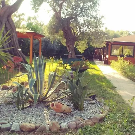 La Piana Degli Ulivi Bed & Breakfast