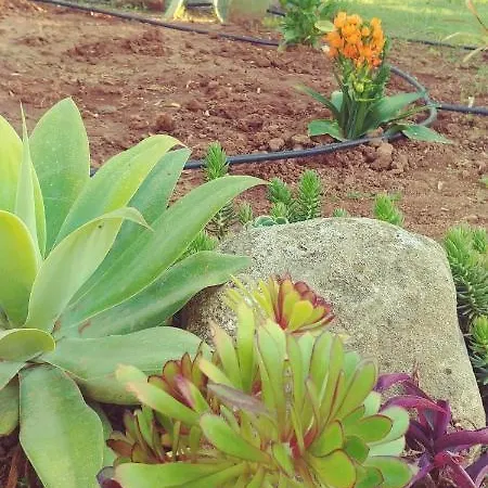 La Piana Degli Ulivi 4* Rossano