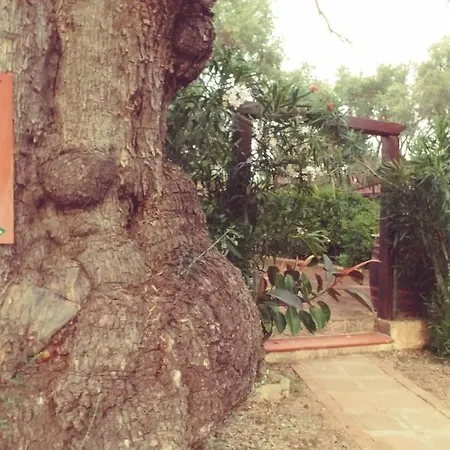 La Piana Degli Ulivi 4*