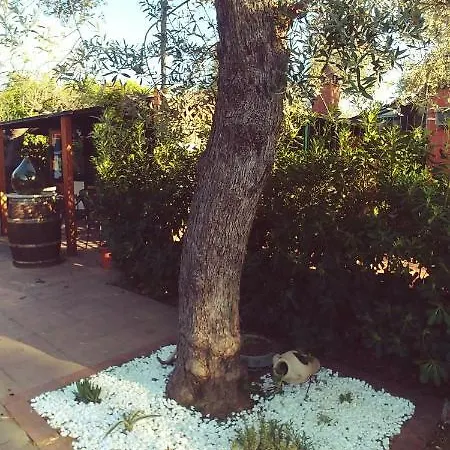 Bed & Breakfast La Piana Degli Ulivi 4*