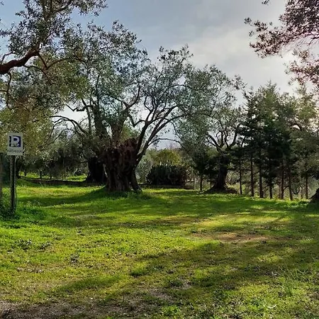 Bed & Breakfast La Piana Degli Ulivi 4*