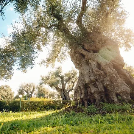 La Piana Degli Ulivi Bed & Breakfast 4*