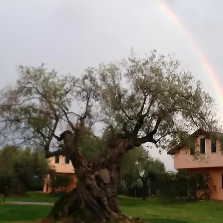Bed & Breakfast La Piana Degli Ulivi Rossano