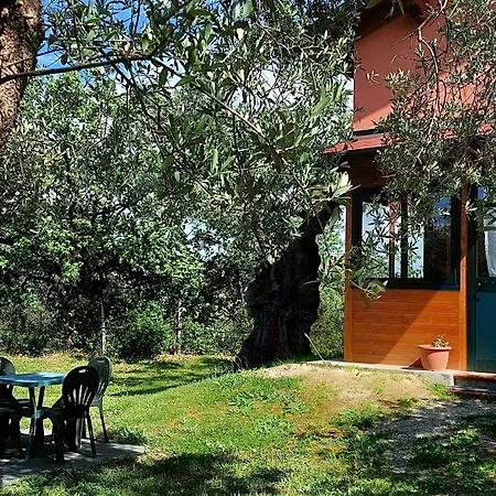 Bed & Breakfast La Piana Degli Ulivi Rossano