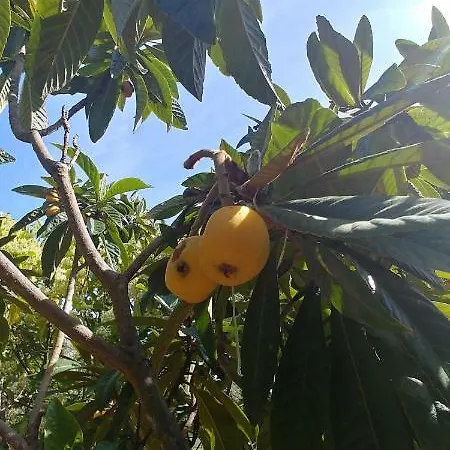 La Piana Degli Ulivi Bed & Breakfast 4*