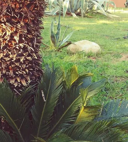 La Piana Degli Ulivi Rossano