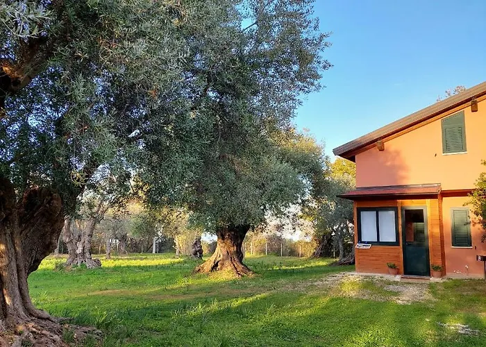 Alojamento de Acomodação e Pequeno-almoço La Piana Degli Ulivi 4*