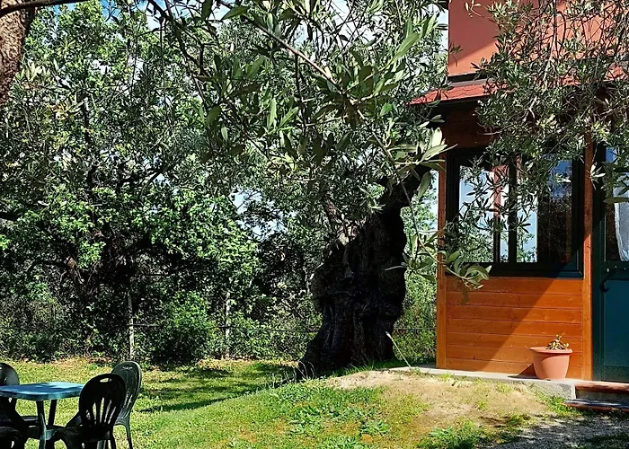 Alojamento de Acomodação e Pequeno-almoço La Piana Degli Ulivi Rossano