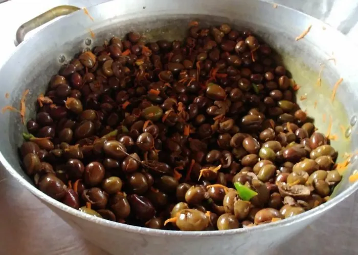 Alojamento de Acomodação e Pequeno-almoço La Piana Degli Ulivi