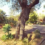 La Piana Degli Ulivi Bed & Breakfast Rossano