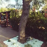 Bed & Breakfast La Piana Degli Ulivi 3*