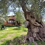 La Piana Degli Ulivi Frühstückspension Rossano