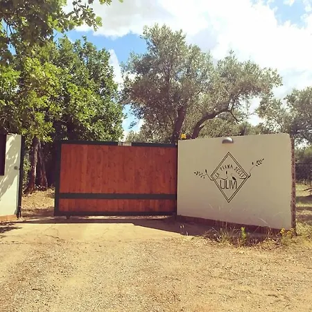 B&B La Piana Degli Ulivi 4*