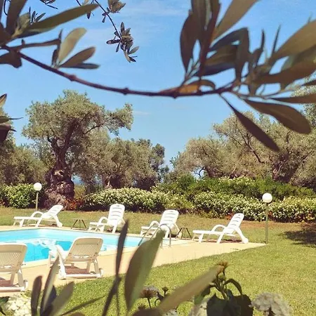 Bed & Breakfast La Piana Degli Ulivi