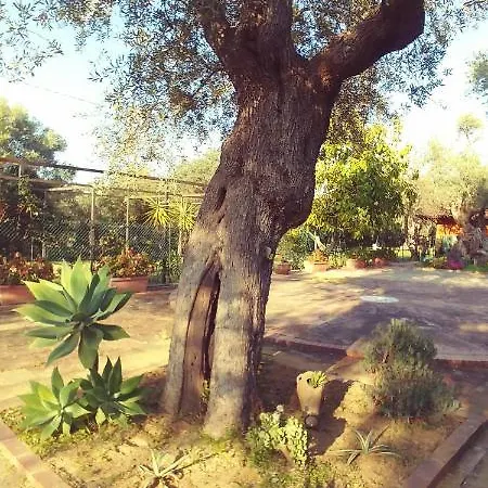 La Piana Degli Ulivi B&B 로사노