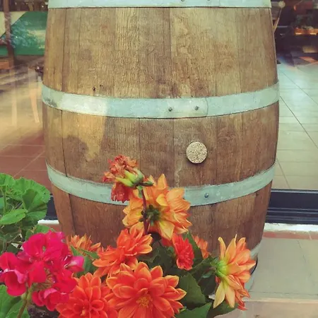 La Piana Degli Ulivi B&B 로사노