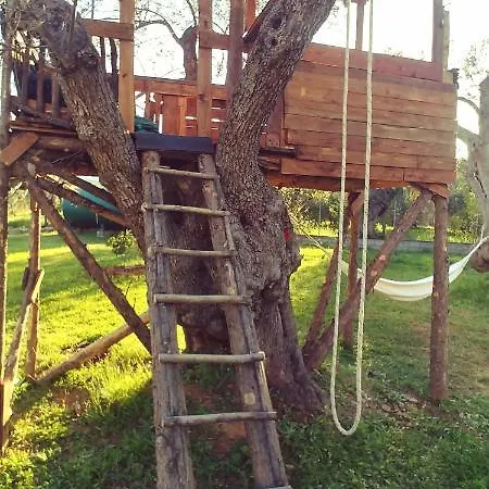 Bed & Breakfast La Piana Degli Ulivi