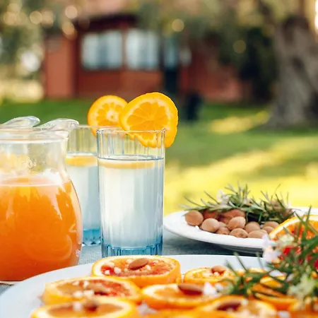 La Piana Degli Ulivi Bed & Breakfast