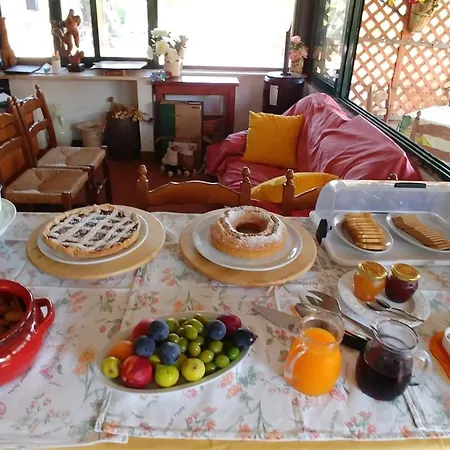 Bed & Breakfast La Piana Degli Ulivi Rossano