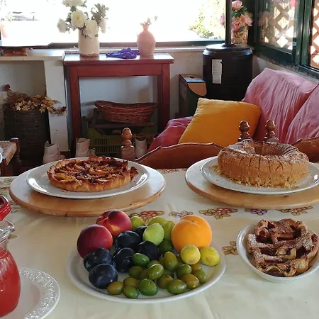 B&B La Piana Degli Ulivi