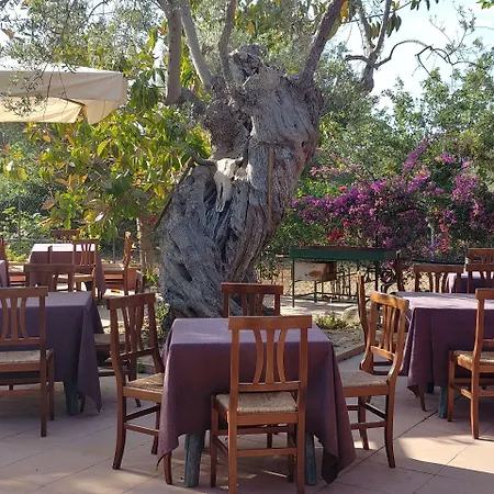 La Piana Degli Ulivi 3* Россано