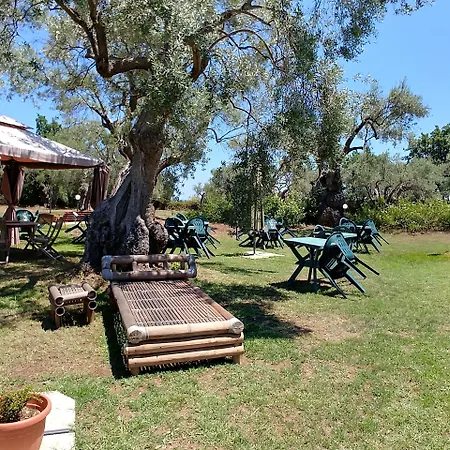 La Piana Degli Ulivi 4*