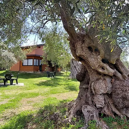 La Piana Degli Ulivi B&B 로사노