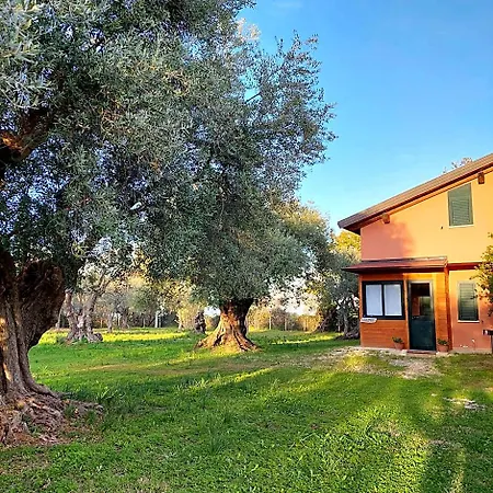 La Piana Degli Ulivi 3* Rossano