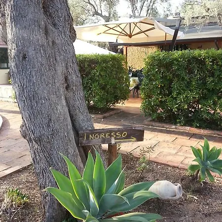 Bed & Breakfast La Piana Degli Ulivi Rossano