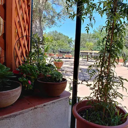 La Piana Degli Ulivi 3*