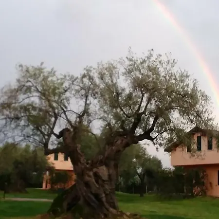 La Piana Degli Ulivi 3* Rossano