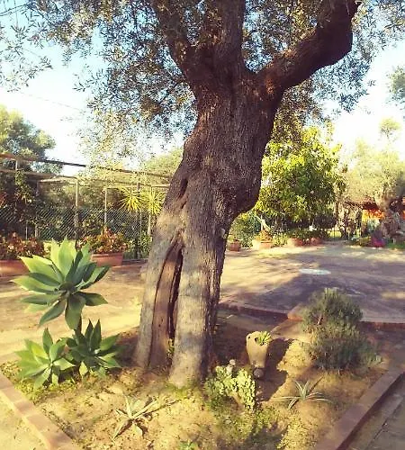 La Piana Degli Ulivi לינה וארוחת בוקר רוסאנו