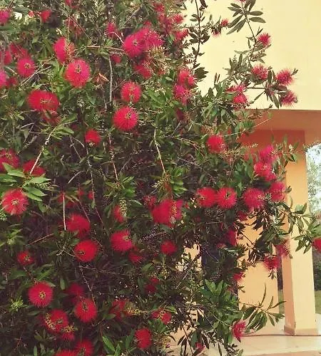 לינה וארוחת בוקר La Piana Degli Ulivi רוסאנו