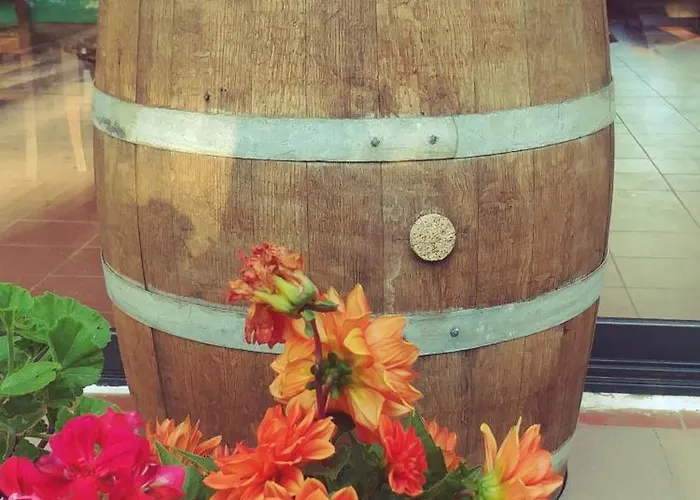 La Piana Degli Ulivi לינה וארוחת בוקר רוסאנו