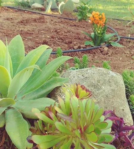 La Piana Degli Ulivi 4* 罗萨诺