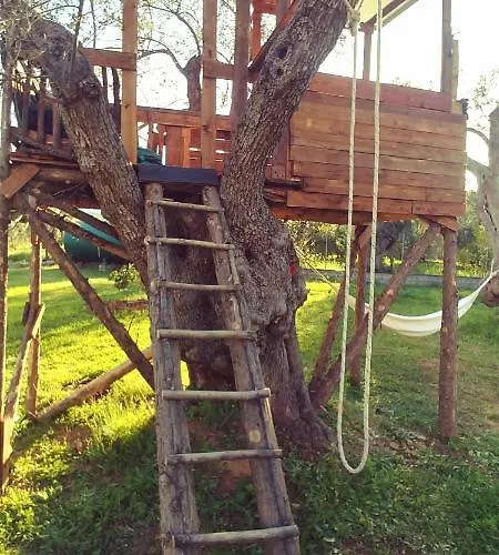 住宿加早餐酒店 La Piana Degli Ulivi