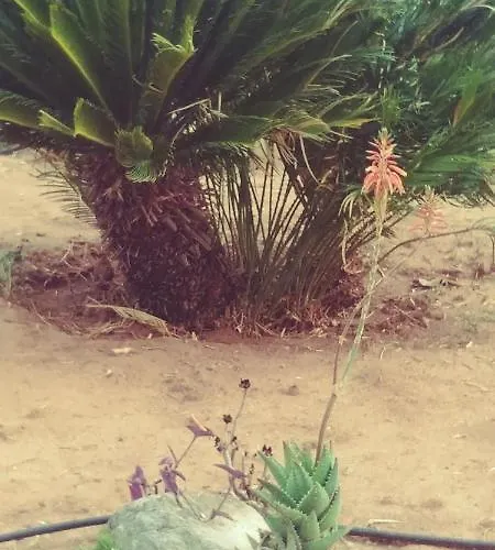 La Piana Degli Ulivi לינה וארוחת בוקר רוסאנו