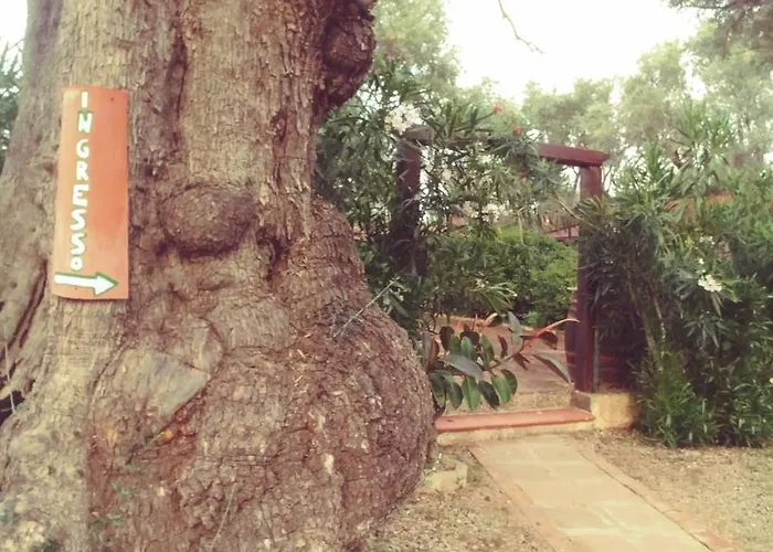 La Piana Degli Ulivi 4*