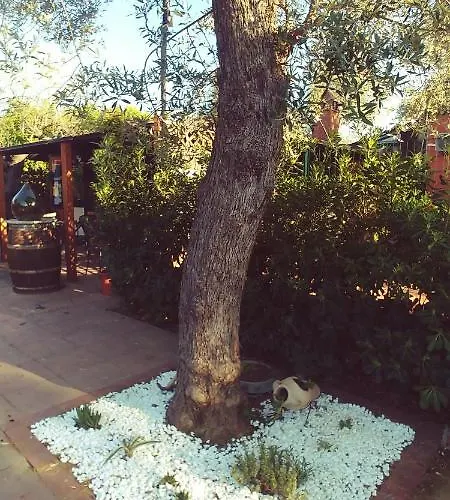 לינה וארוחת בוקר La Piana Degli Ulivi 4*