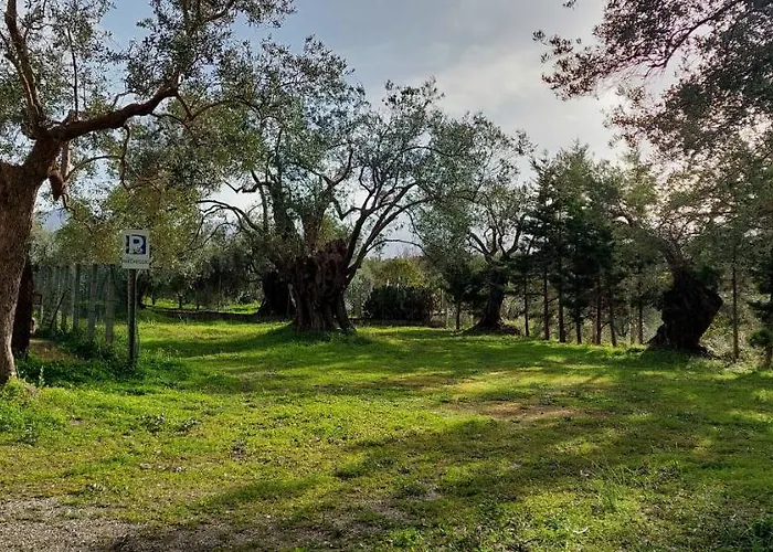 לינה וארוחת בוקר La Piana Degli Ulivi 4*