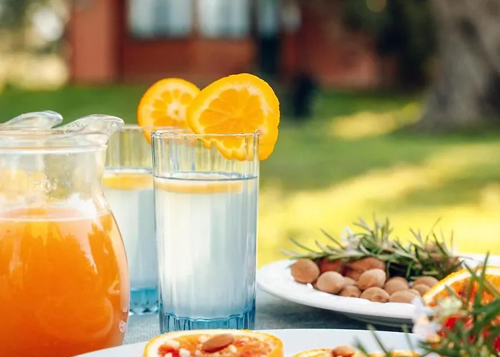 La Piana Degli Ulivi 住宿加早餐酒店