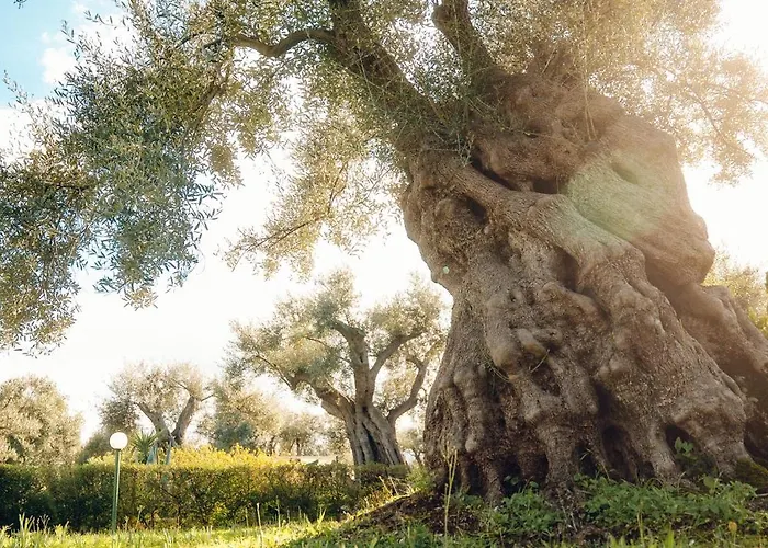 La Piana Degli Ulivi 住宿加早餐酒店 4*