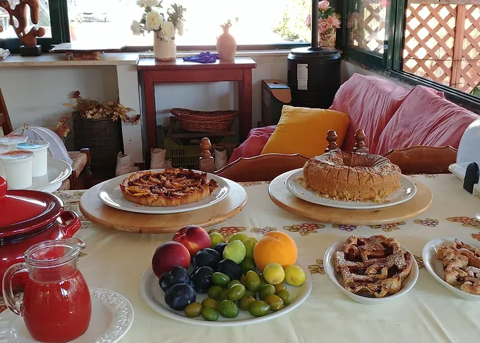 住宿加早餐酒店 La Piana Degli Ulivi