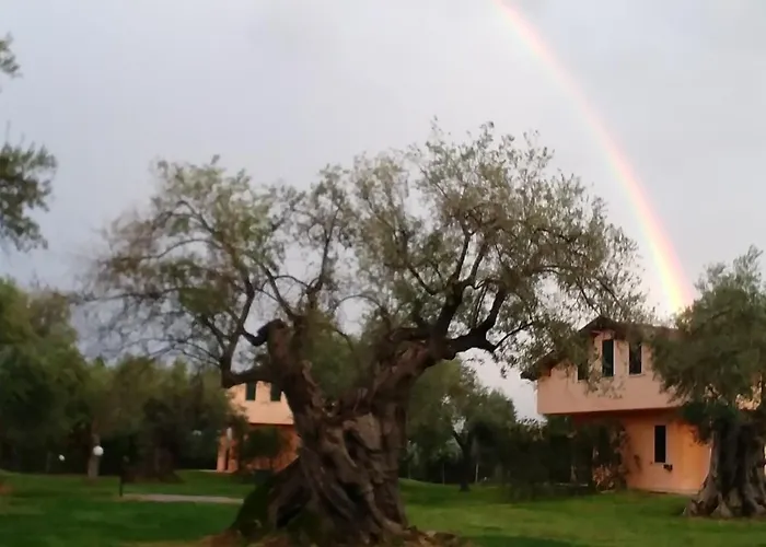 לינה וארוחת בוקר La Piana Degli Ulivi רוסאנו