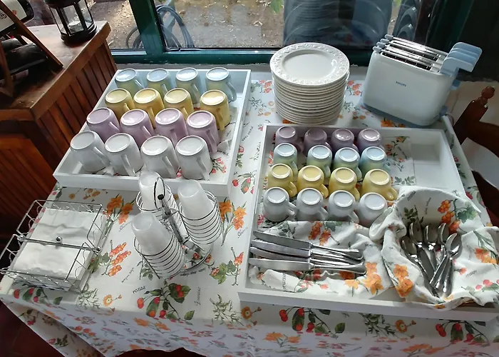 住宿加早餐酒店 La Piana Degli Ulivi