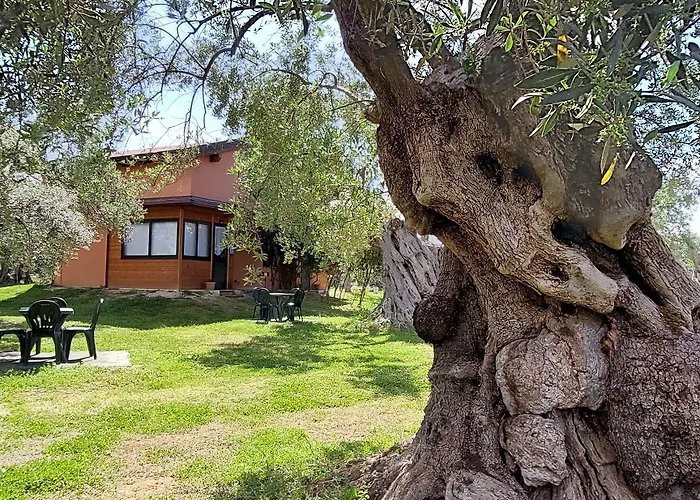 La Piana Degli Ulivi 住宿加早餐酒店 罗萨诺