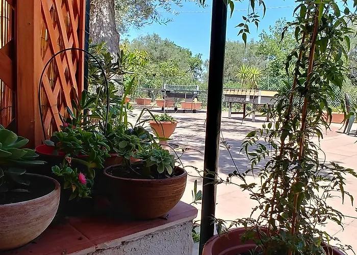 La Piana Degli Ulivi 4*