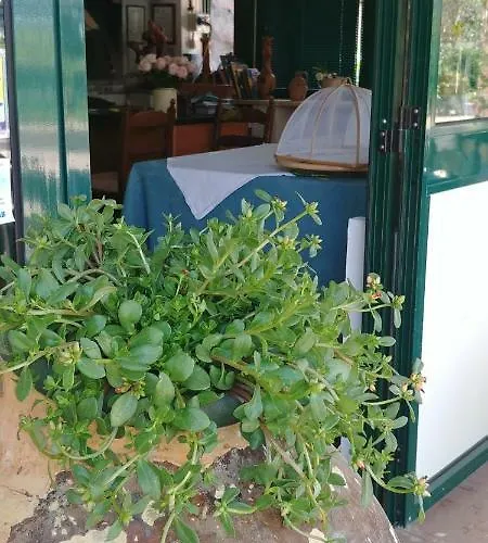 La Piana Degli Ulivi 罗萨诺